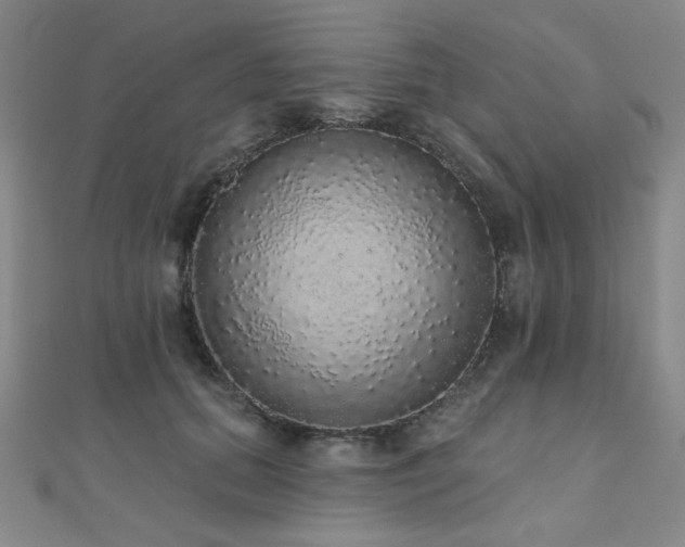 X0000110700655200906121335