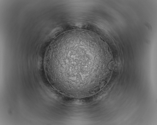 X0000110700656200906121335