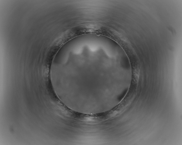 X0000110700657200906121335