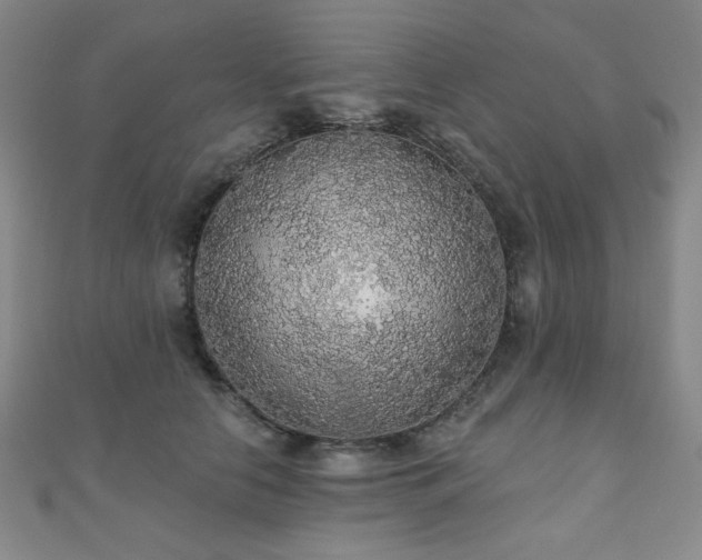 X0000110700658200906121335