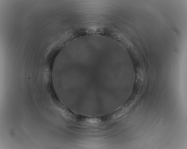 X0000110700659200906121335