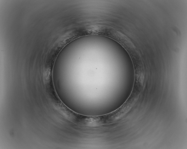 X0000110700660200906121335