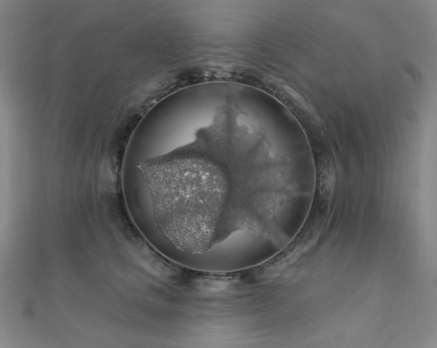 X0000110700661200906121335