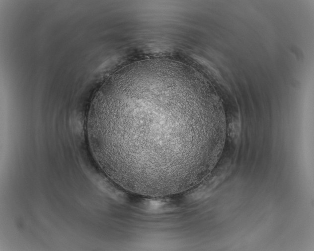 X0000110700662200906121335