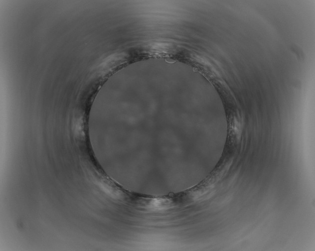 X0000110700663200906121335