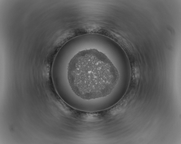 X0000110700664200906121335