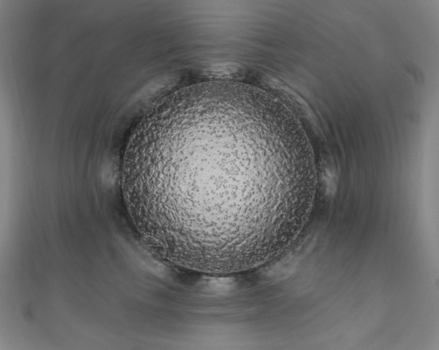 X0000110700665200906121335