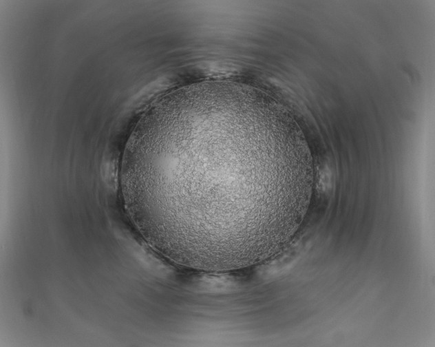 X0000110700666200906121335
