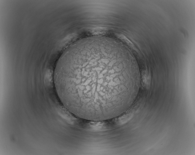 X0000110700667200906121335