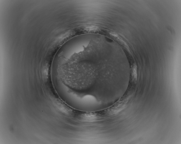 X0000110700668200906121335