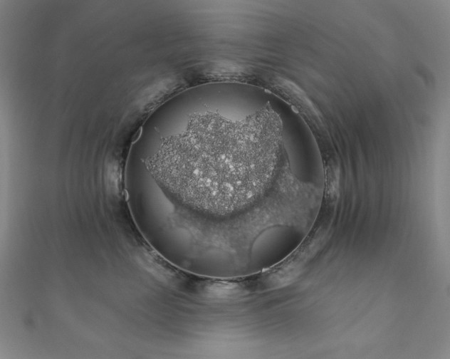 X0000110700669200906121335
