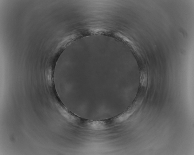X0000110700670200906121335