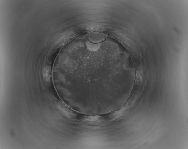 X0000110700671200906121335