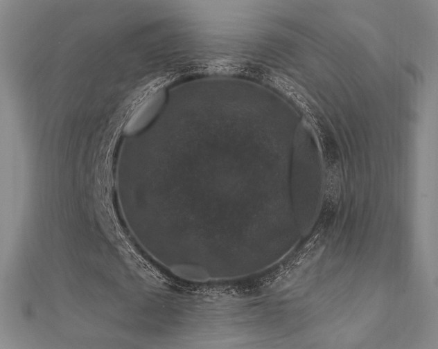X0000110700673200906121334