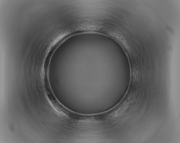 X0000110700674200906121334