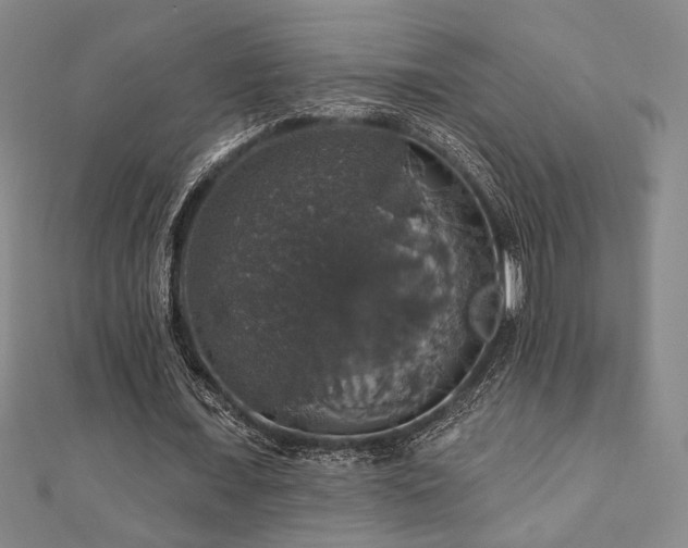X0000110700675200906121334
