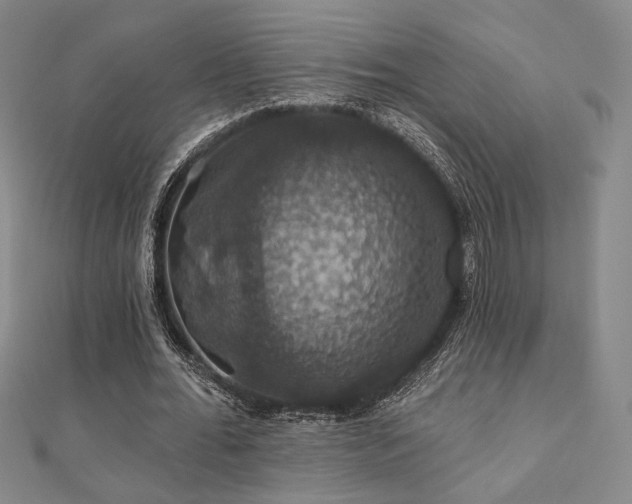 X0000110700676200906121334