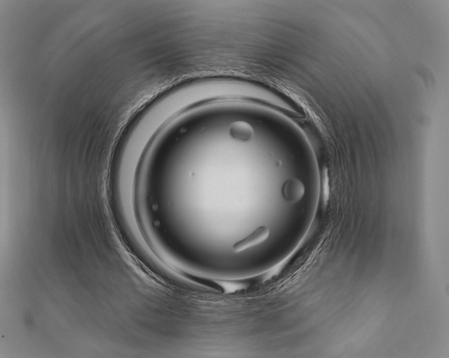 X0000110700677200906121334