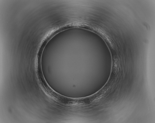 X0000110700678200906121334
