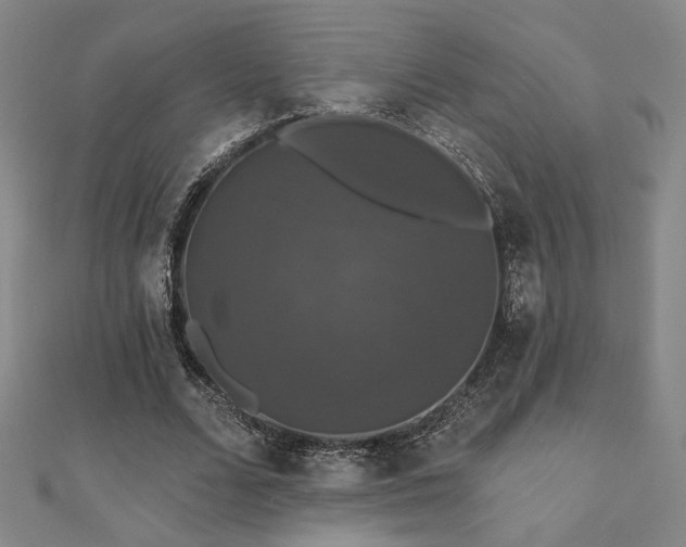 X0000110700680200906121334