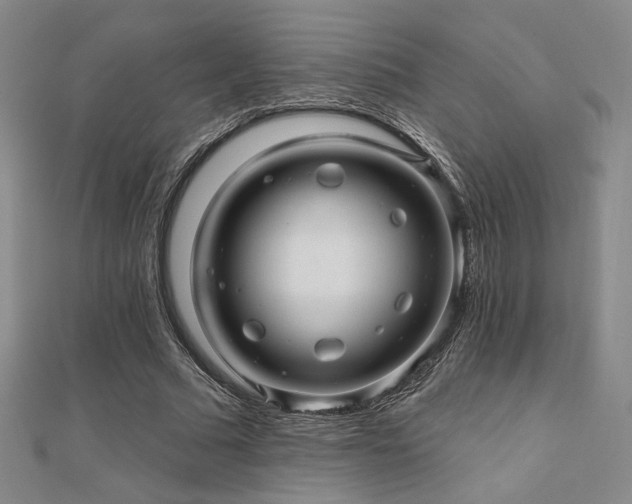 X0000110700681200906121334