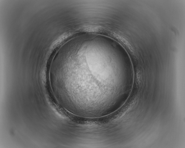 X0000110700682200906121334