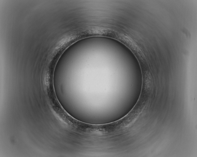 X0000110700683200906121334
