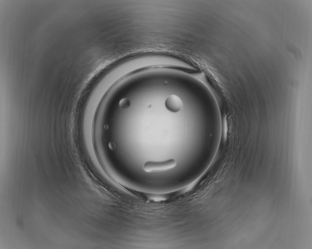 X0000110700684200906121334