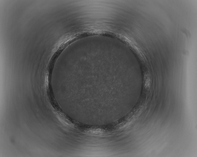 X0000110700685200906121334