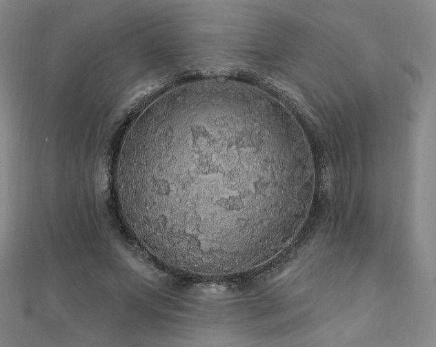 X0000110700687200906121334