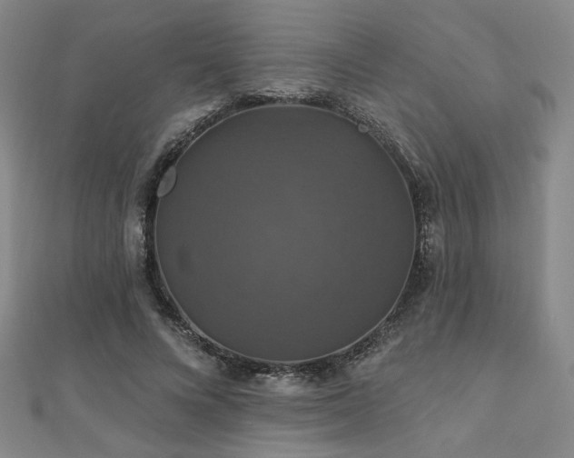 X0000110700688200906121334