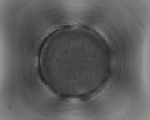 X0000110700689200906121334