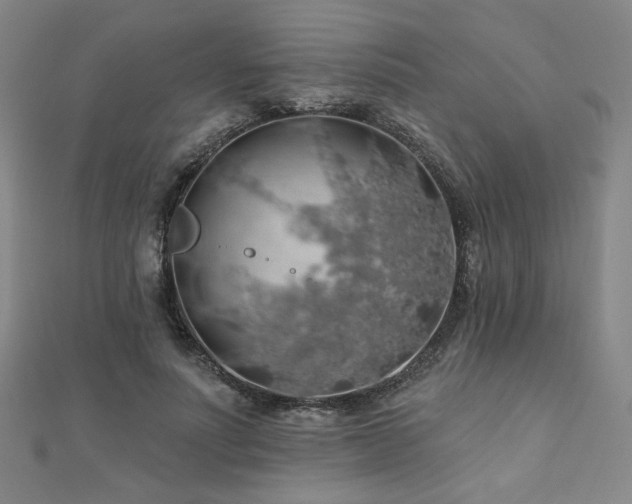 X0000110700691200906121334