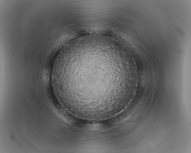 X0000110700695200906121334