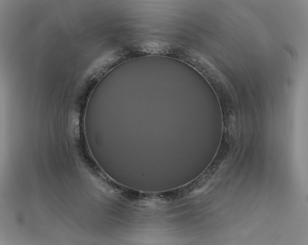 X0000110700696200906121334