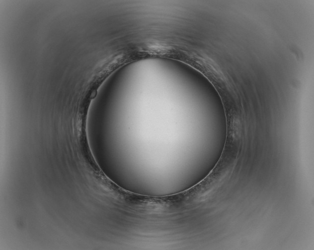 X0000110700697200906121334
