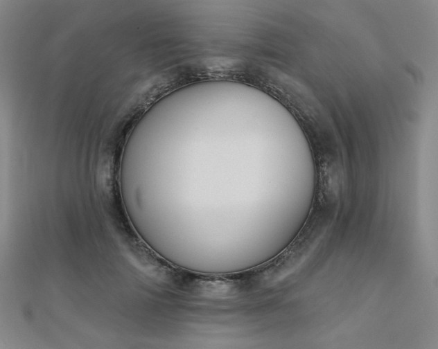 X0000110700698200906121334