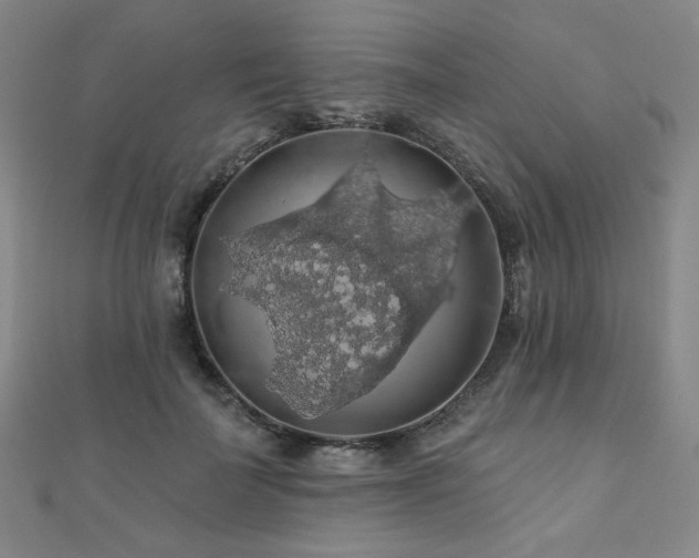 X0000110700699200906121334