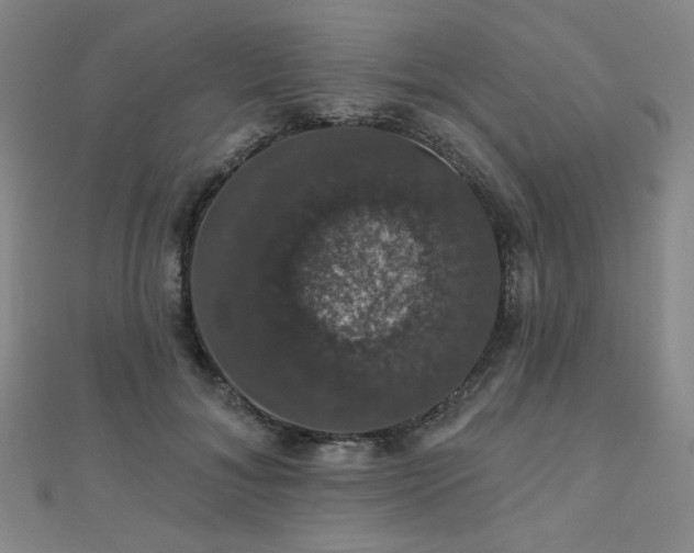 X0000110700700200906121334