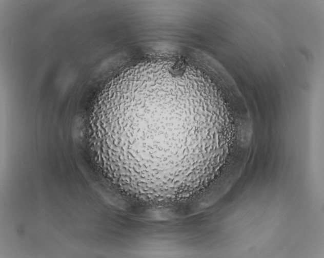 X0000110700701200906121334