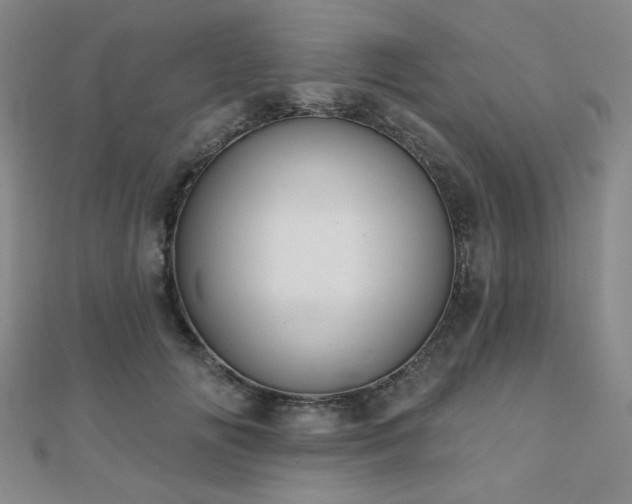 X0000110700702200906121334