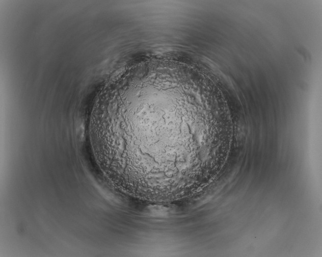 X0000110700703200906121334
