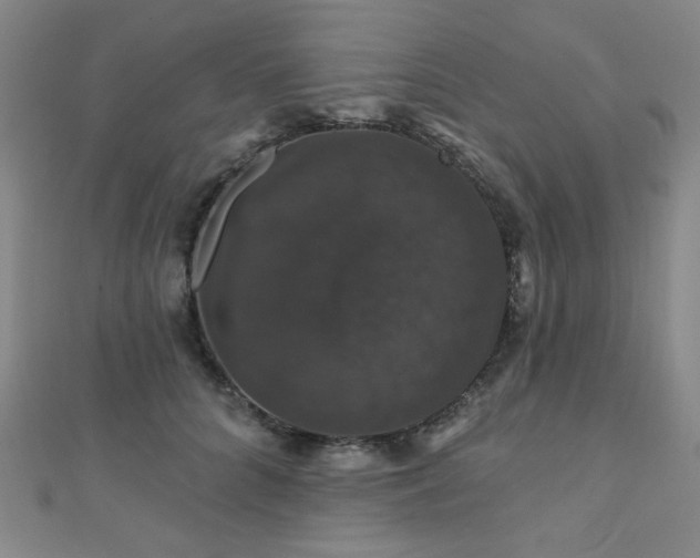 X0000110700704200906121334