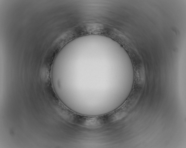 X0000110700705200906121334