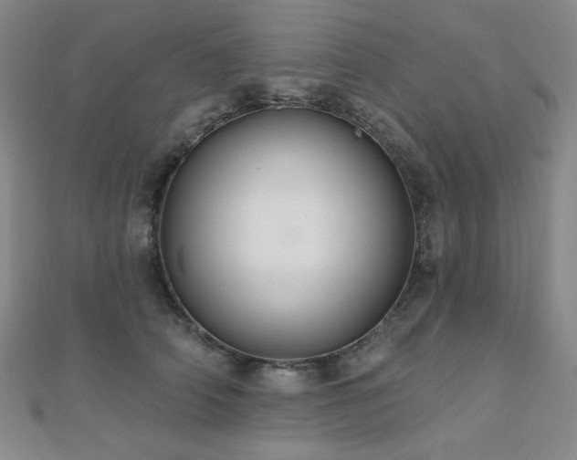 X0000110700706200906121334