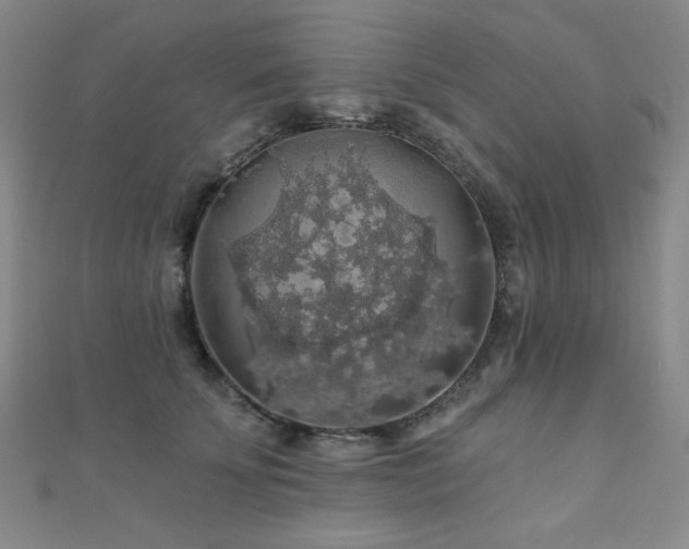 X0000110700707200906121334