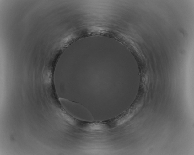 X0000110700708200906121334