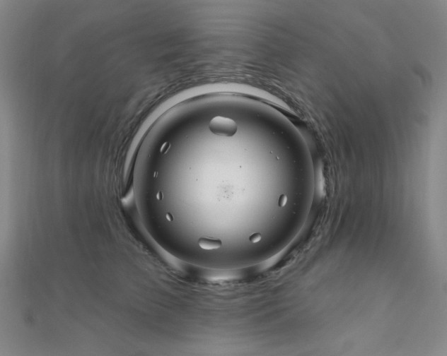 X0000110700709200906121334