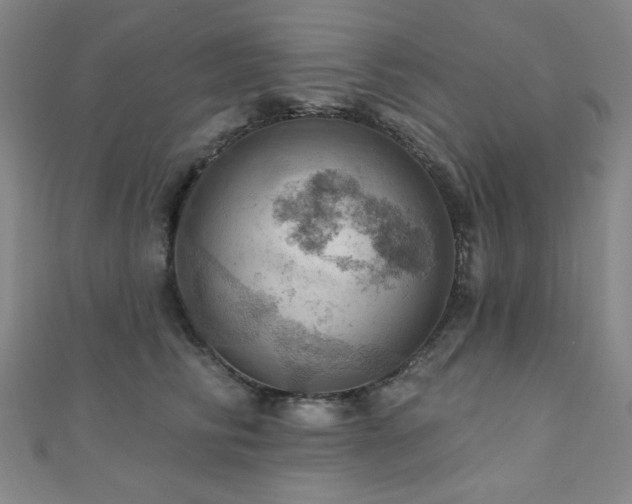X0000110700710200906121334