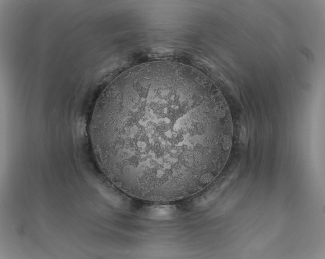 X0000110700711200906121334